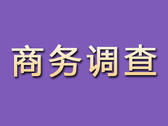 通海商务调查